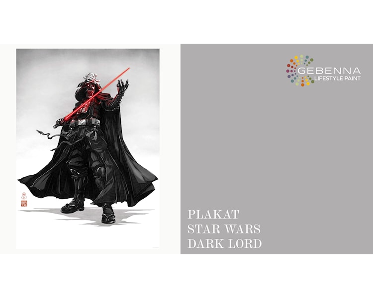 Plakat Star Wars Vision Samurai Dark Lord